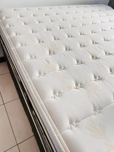 Castor Silver Star Tecnopedic
