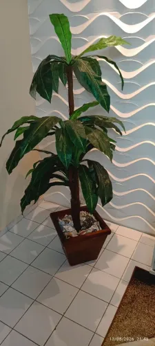 Lindo arranjo para sala