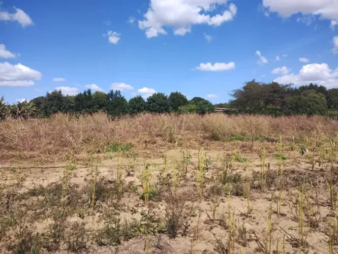 Vendo lotes 1000 metros com entrada e parcelas no setor Aguas Bonitas - Aguas Lindas