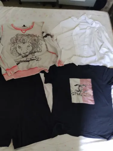 Lote de roupas femininas 