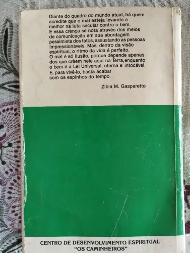 Livro Espinhos do Tempo
