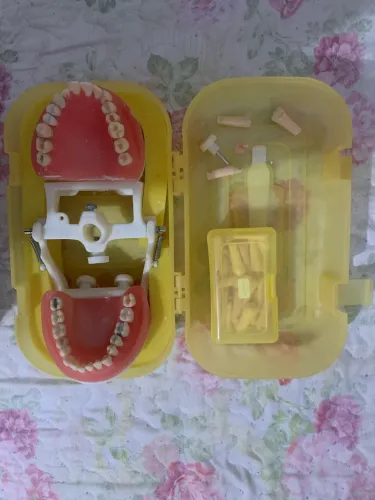 Manequim Odontológico Pronew AC100 + Dentes Extras