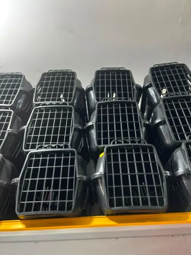PROMOÇÃO DE CAIXAS DE TRANSPORTE PARA PET