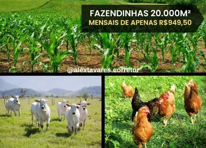 Fazendinhas de 20.000m2 Financio SEM Entrada com Prestações de 1.187,00