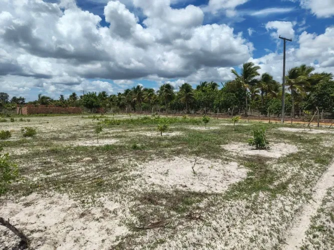 Vende-se áreas de diversos tamanhos 
