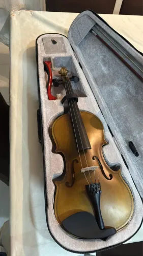 Violino