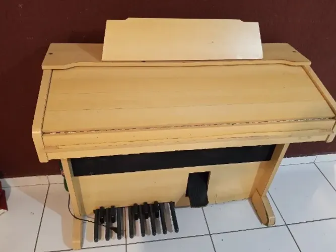 Órgão eletrônico Musical