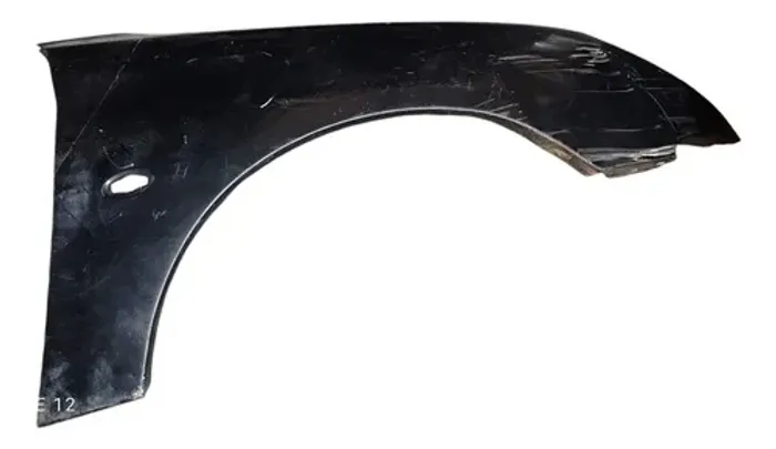 Paralama Dianteiro Direito Peugeot 206 1.6 2009 2010