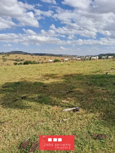 Fazenda para Venda em Ouro Verde de Goiás