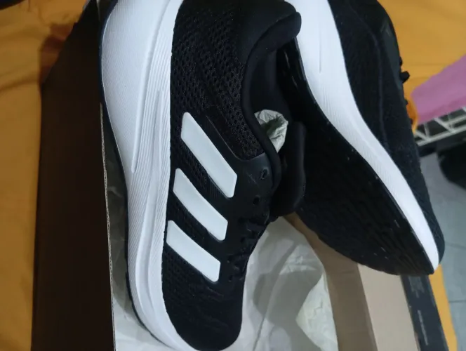 Tenis