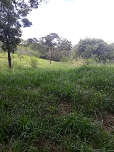 Chácara no Flores e Floresta em Betim
