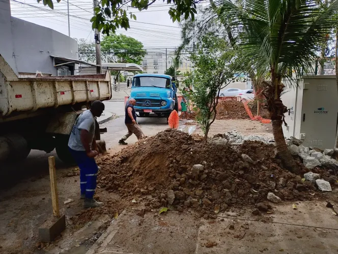Remoção de entulhos 