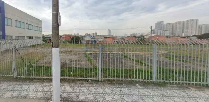 Terrenos e Áreas para locação - Centro