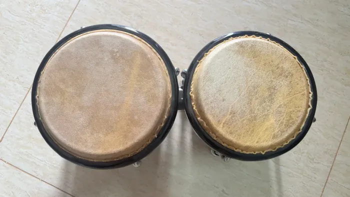 Bongô - Jennifer Percussion