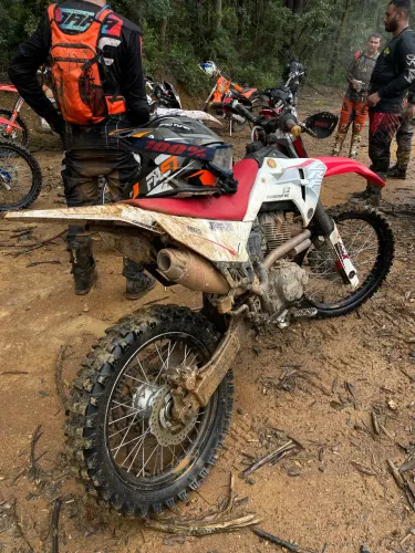 Crf 230 f