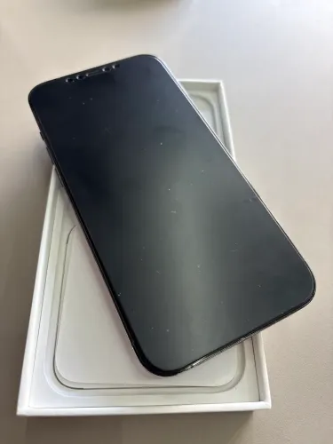 iPhone 12 Pro Max 128 gb 12 x no cartão de crédito 