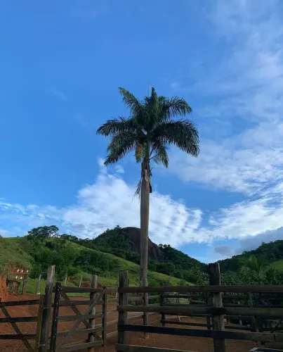 Sítio em Djalma Coutinho - Santa Leopoldina
