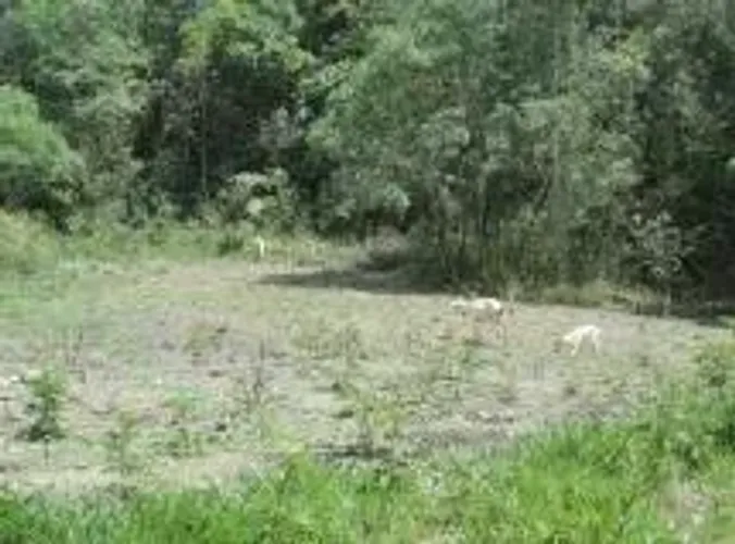 Lote/Terreno para venda tem 5000 metros quadrados em Ponunduva - Cajamar - SP