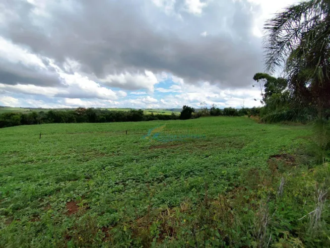 Sítio à venda, 96800 m² por R$ 500.000,00 - Centro - Guaraniaçu/PR