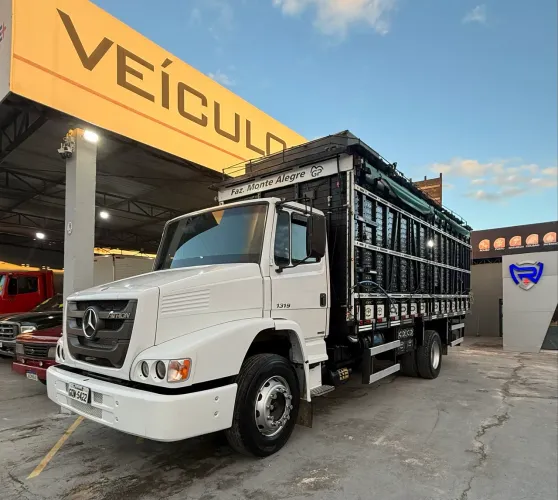 M Benz Atron 1319 BOIADEIRA - BAIXEI