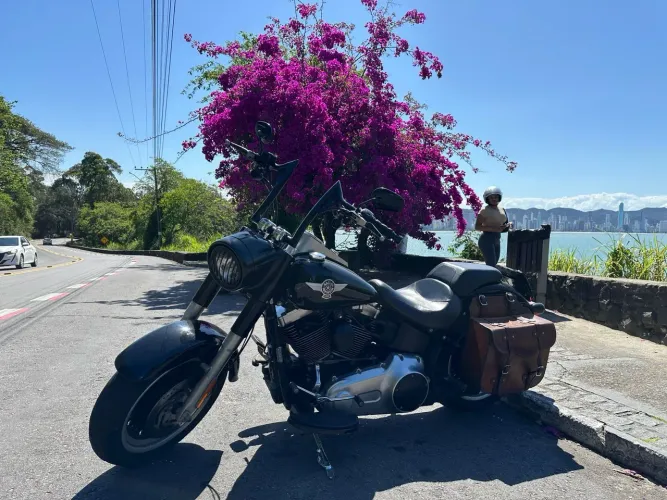 Harley fat boy bandida