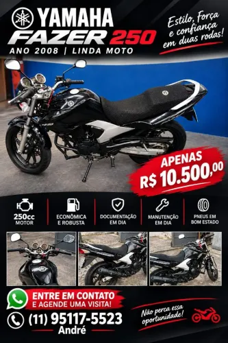 Fazer 250 top