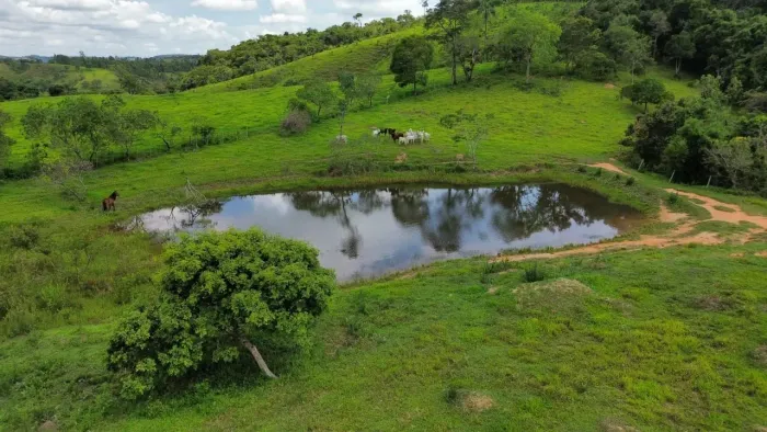 FAZENDA À VENDA - 241 HECTARES -município de Pedra do indaiá MG