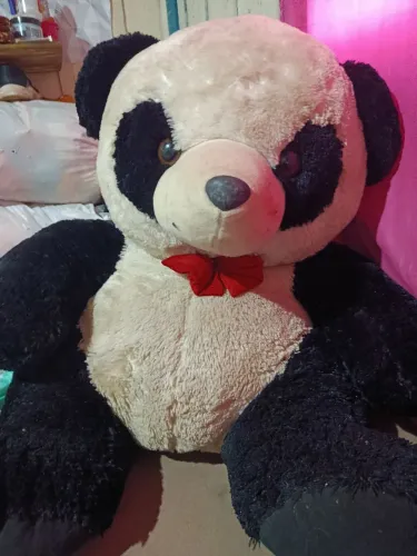 Urso panda