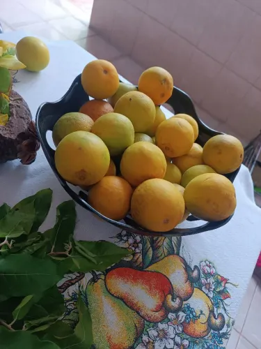 Laranja da Terra