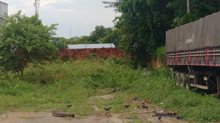VENDO TERRENO COM 1500 METROS NO HILÉIA À VISTA