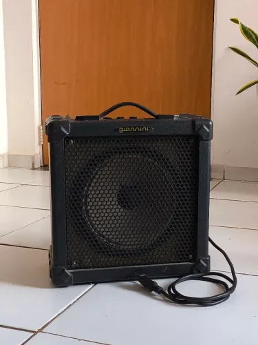 Amplificador Gianini G20