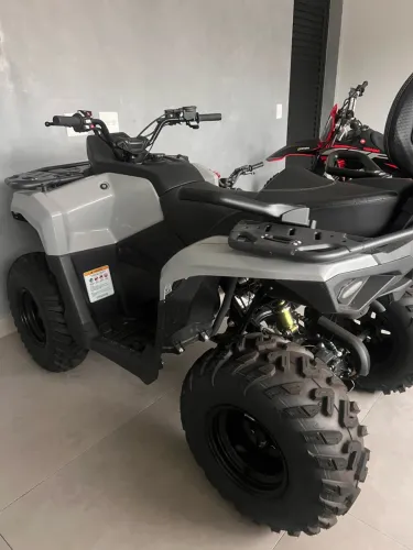 Quadricicolo Dakar 250 