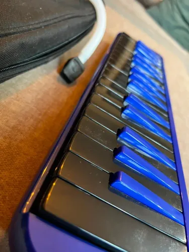 Escaleta Spring Sg-32 32 Notas Azul Com Teclas Pretas Cor Azul Com Preto