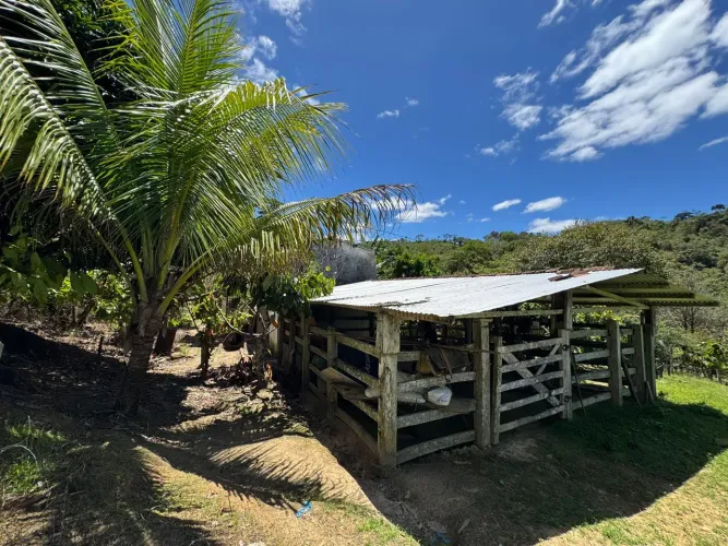 Oportunidade fazenda de cacau sul da Bahia.