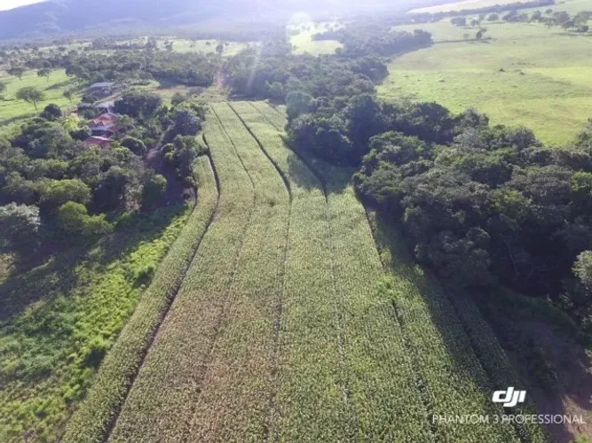 MARIVILHOSA FAZENDA COM 60 HECTARES, EM BURITIS MG