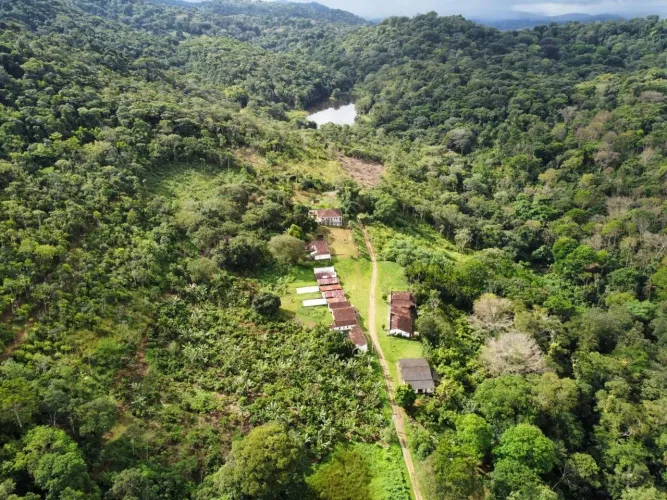 Fazenda de Cacau à Venda em Uruçuca - BA
