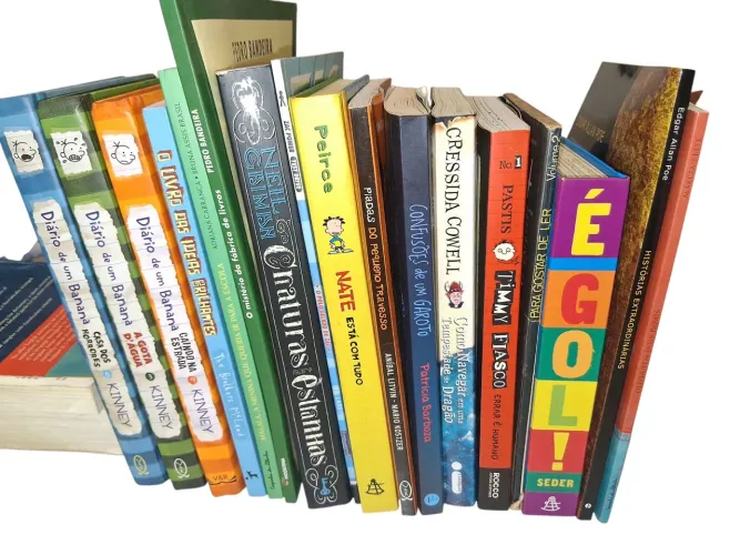 Lote livros usados infanto juvenis 17 títulos diversos 