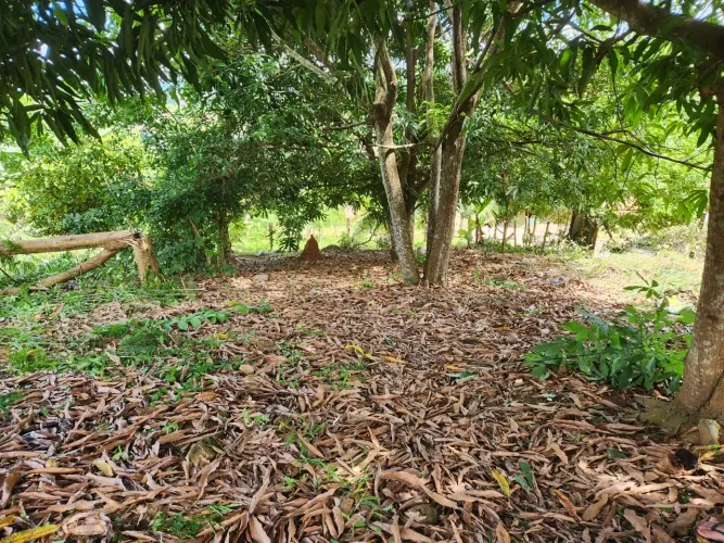 2 Lotes Bairro Bela Vista 2 ( 35 mil)