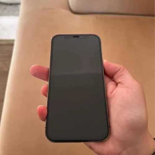 iPhone 12 Pro 