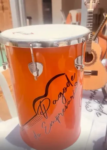 Vendo instrumentos musicais profissional!