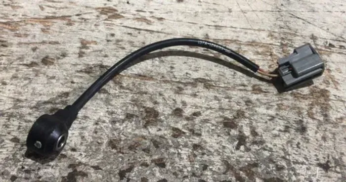 Sensor Detonação Ecosport Focus 2.0 16v / 1s7a12a699bb