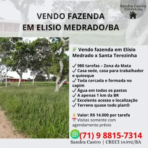 Vendo fazenda em Elísio Medrado x Santa Terezinha