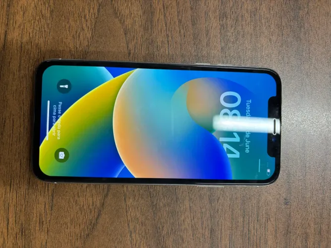 iPhone X 256 GB