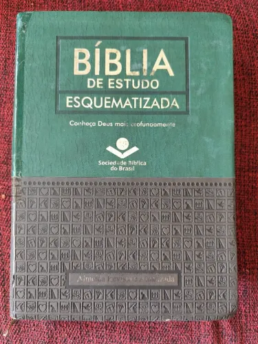 Vendo Bíblia de estudo Esquematizada