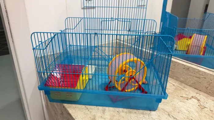 Gaiola de hamster