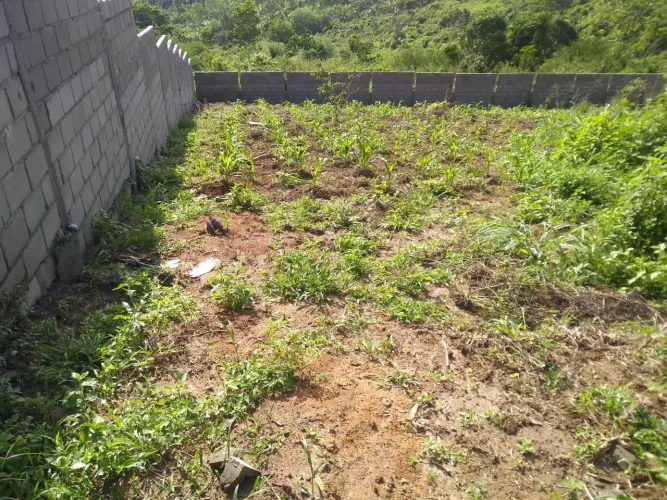 Lote Oliveira dos Caminhos, Santo Amaro
