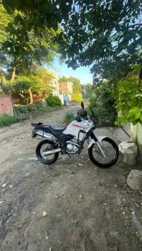Yamaha XTZ 250 Tenere/tenere Blueflex 2011
