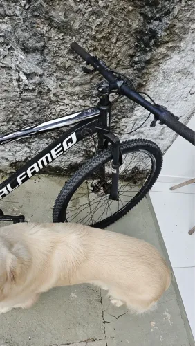 Vendo bicicleta