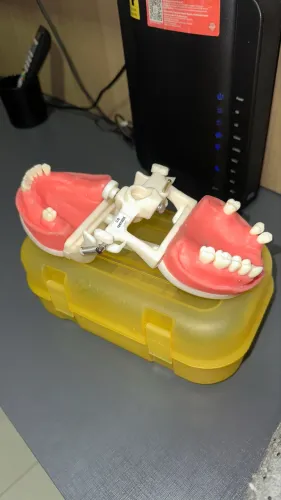 Manequim odontológico para Prótese parcial removível - Pronew
