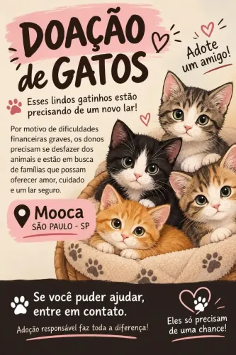 Doação de gatos por dificuldades financeiras muito graves